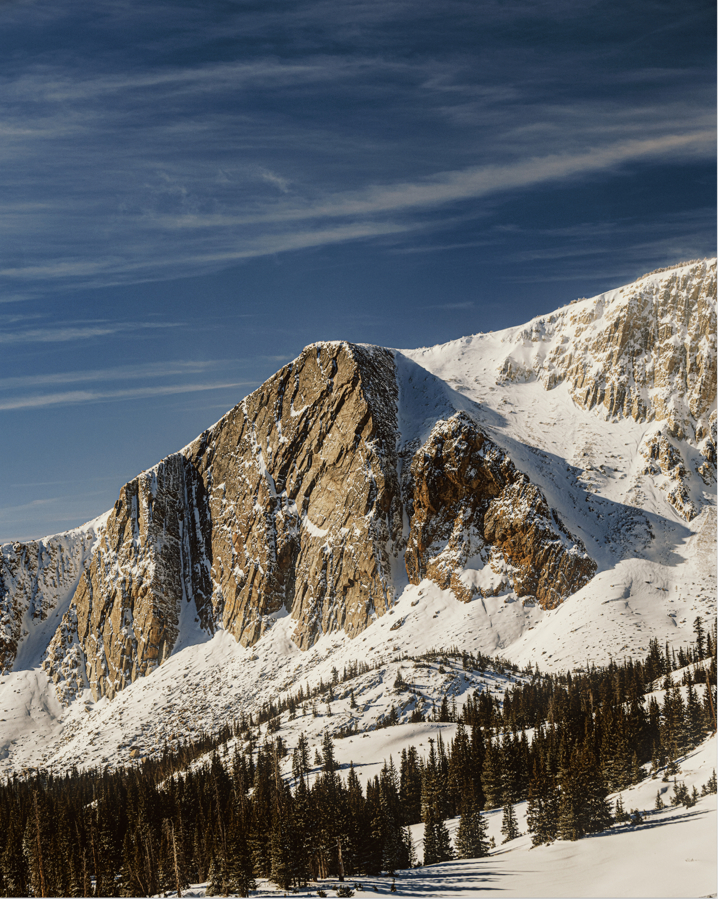 MEDICINE BOW