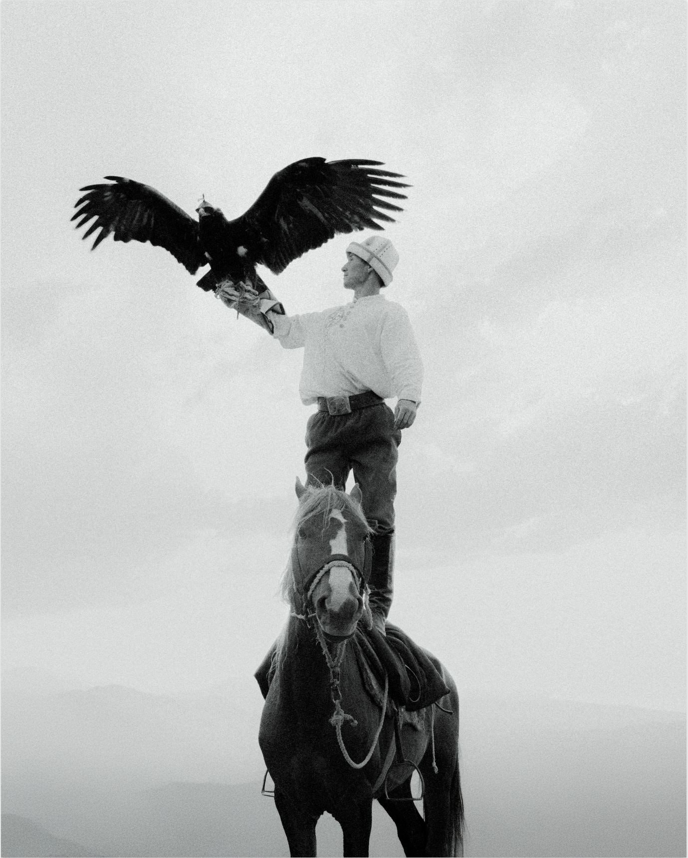 TOTEM