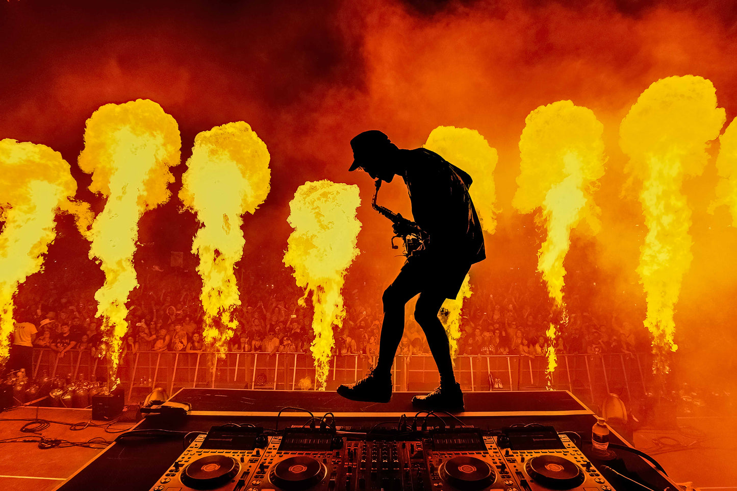 GRIZ ON FIRE PRINT