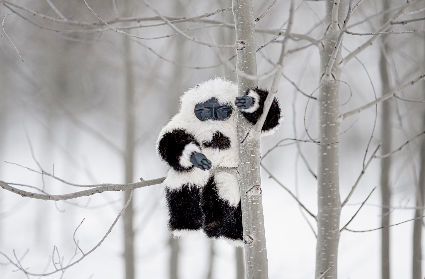 SPENCER HANSEN X JASON SIEGEL | MOCHI ASH PRINT (LIMITED EDITION)