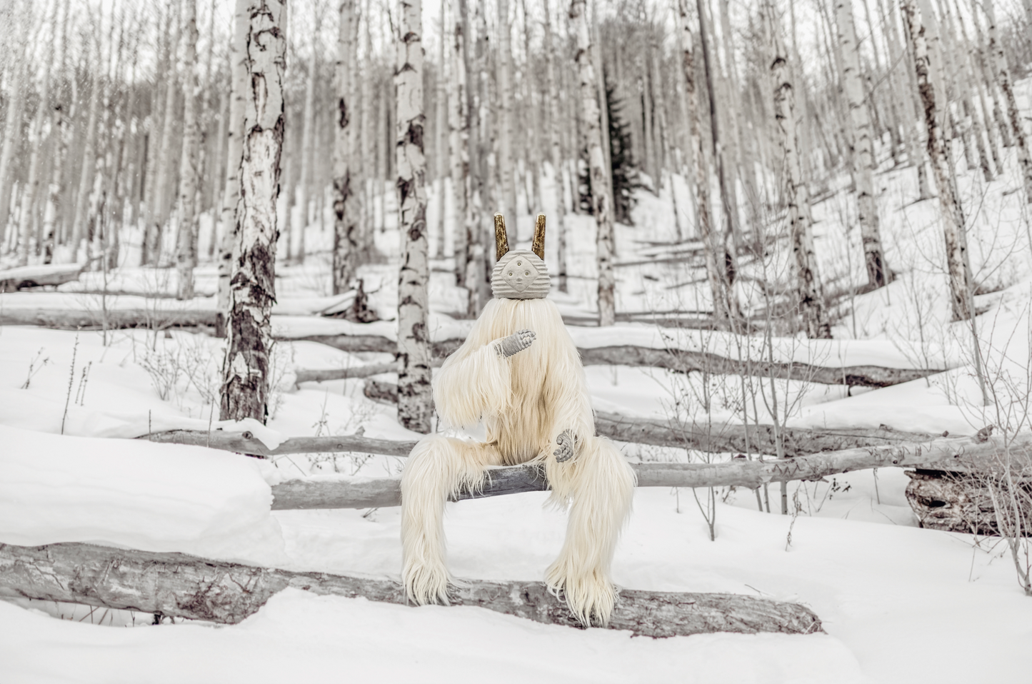 SPENCER HANSEN X JASON SIEGEL | SUKA PRINT (LIMITED EDITION)