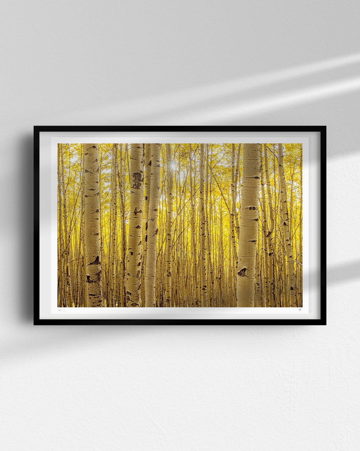 ASPENS IN ASPEN PRINT