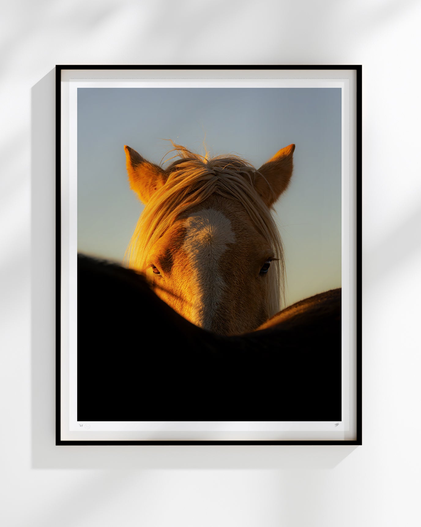FOAL PLAY