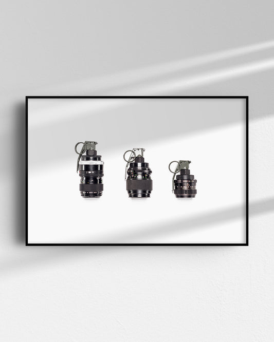 PHOTOBOMB PRINT (LIMITED EDITION)