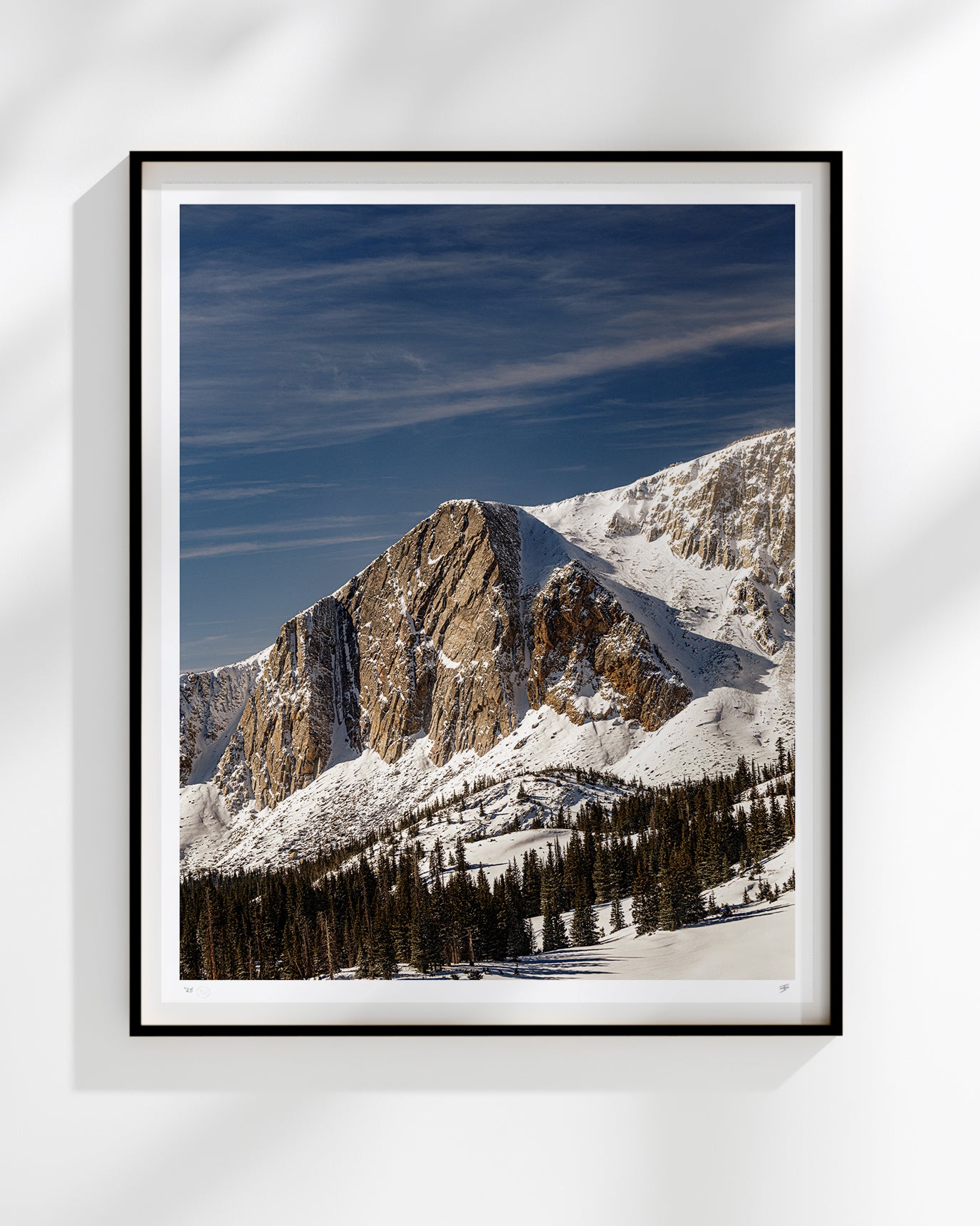 MEDICINE BOW