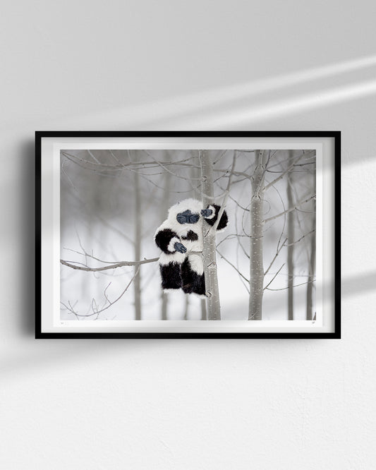 SPENCER HANSEN X JASON SIEGEL | MOCHI ASH PRINT (LIMITED EDITION)