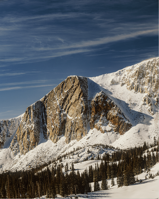 MEDICINE BOW